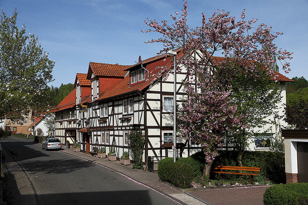 Brauner Hirsch Hannoversch Münden Kültér fotó